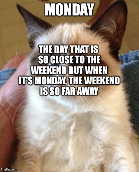 MONDAY THE DAY THAT IS SO CLOSE TO THE WEEKEND BUT WHEN IT'S MONDAY, THE WEEKEND IS SO FAR AWAY | image tagged in memes,grumpy cat | made w/ Imgflip meme maker