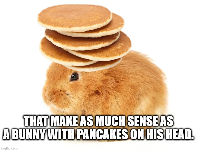 Bunny with pancakes on his head | THAT MAKE AS MUCH SENSE AS A BUNNY WITH PANCAKES ON HIS HEAD. | image tagged in bunny | made w/ Imgflip meme maker