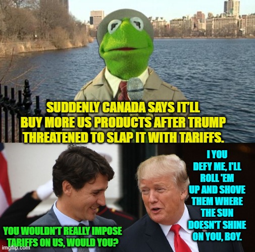 See how that works leftists?  What a difference it make to have a president with a spine. | SUDDENLY CANADA SAYS IT’LL BUY MORE US PRODUCTS AFTER TRUMP THREATENED TO SLAP IT WITH TARIFFS. I YOU DEFY ME, I'LL ROLL 'EM UP AND SHOVE THEM WHERE THE SUN DOESN'T SHINE ON YOU, BOY. YOU WOULDN'T REALLY IMPOSE TARIFFS ON US, WOULD YOU? | image tagged in kermit news report | made w/ Imgflip meme maker