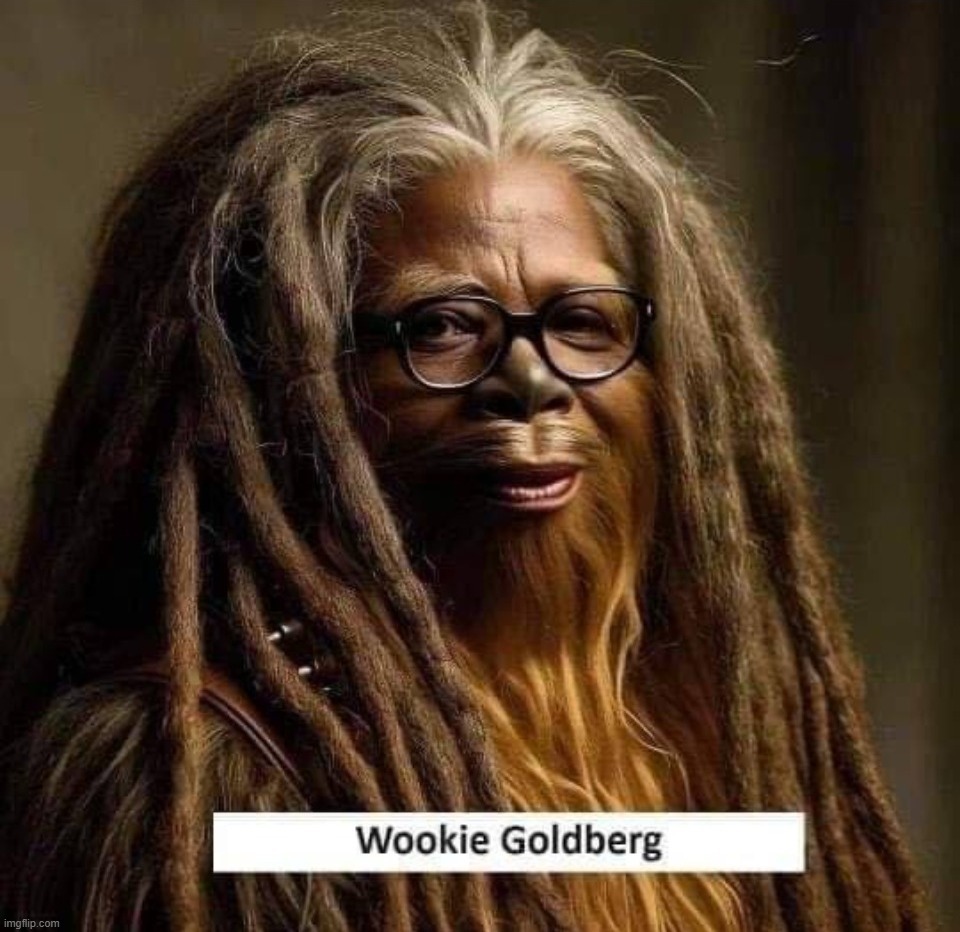 The meme that broke the internet. | image tagged in wookie goldberg,political meme,dank memes,whoopi goldberg,star wars,wookies | made w/ Imgflip meme maker