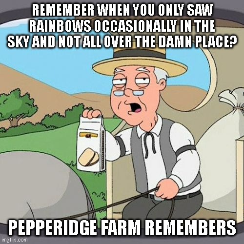 Pepperidge Farm Remembers | REMEMBER WHEN YOU ONLY SAW RAINBOWS OCCASIONALLY IN THE SKY AND NOT ALL OVER THE DAMN PLACE? PEPPERIDGE FARM REMEMBERS | image tagged in memes,pepperidge farm remembers | made w/ Imgflip meme maker