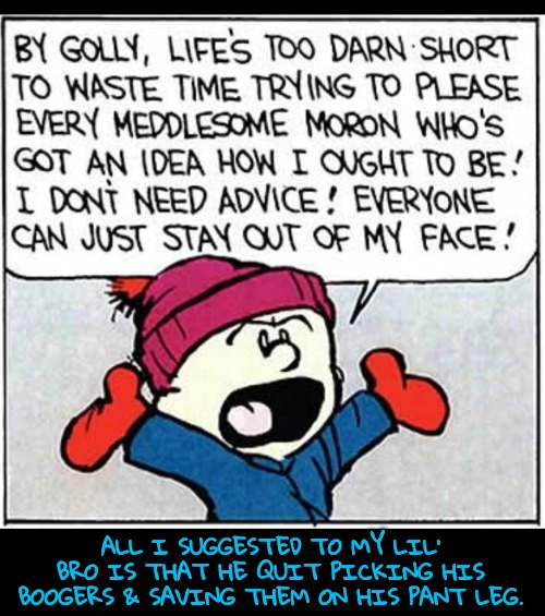 True Story! | ALL I SUGGESTED TO MY LIL' BRO IS THAT HE QUIT PICKING HIS BOOGERS & SAVING THEM ON HIS PANT LEG. | image tagged in calvin and hobbes,boogers,brothers | made w/ Imgflip meme maker