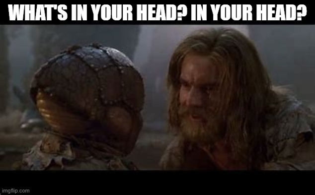 Zammis | WHAT'S IN YOUR HEAD? IN YOUR HEAD? | image tagged in sci-fi,enemy mine | made w/ Imgflip meme maker