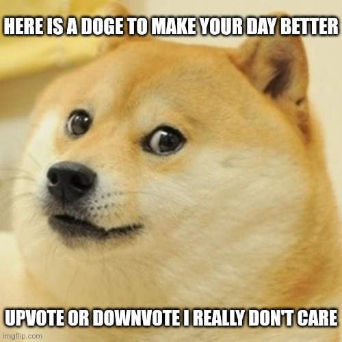 Your day will be better | HERE IS A DOGE TO MAKE YOUR DAY BETTER; UPVOTE OR DOWNVOTE I REALLY DON'T CARE | image tagged in memes,doge | made w/ Imgflip meme maker