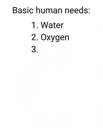 Basic human needs meme Blank Meme Template