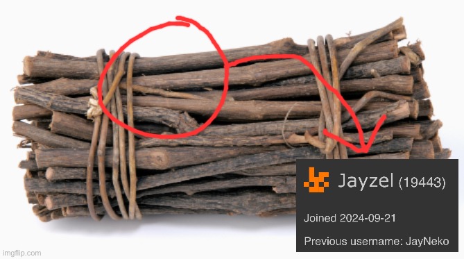 Bundle of Sticks | image tagged in bundle of sticks | made w/ Imgflip meme maker