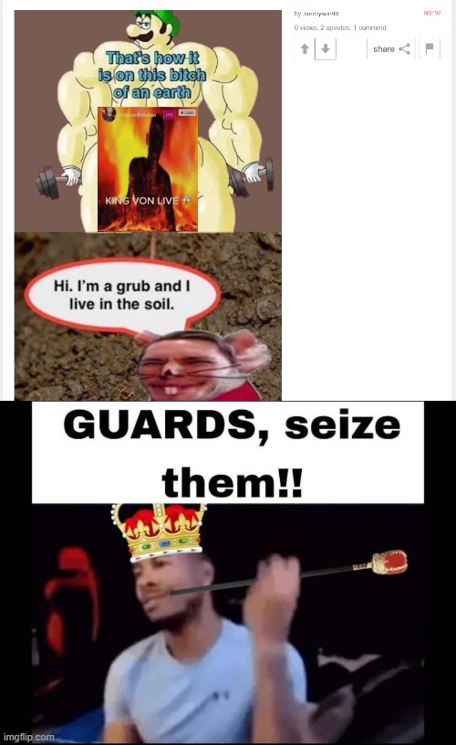 image tagged in guards seize them | made w/ Imgflip meme maker