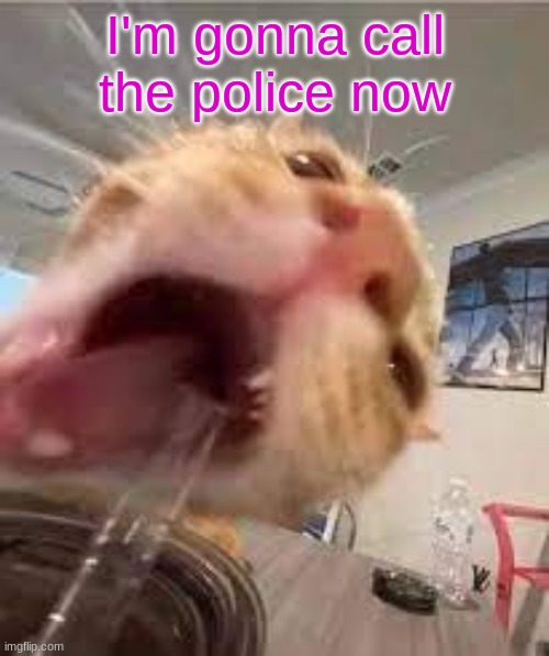 Silly | I'm gonna call the police now | image tagged in silly | made w/ Imgflip meme maker