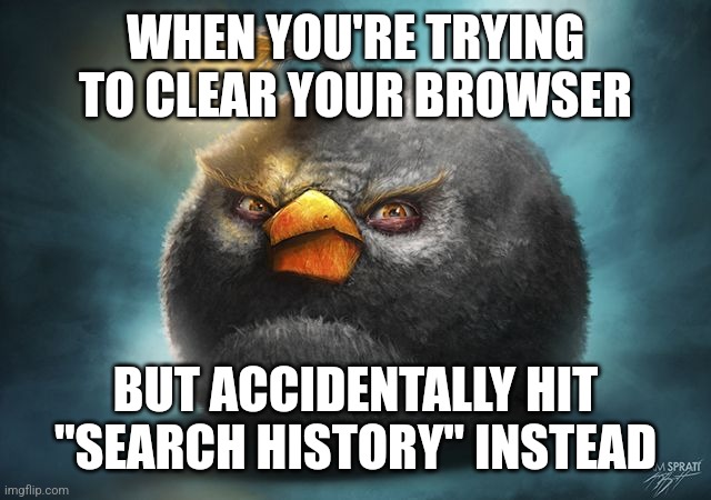 angry birds bomb | WHEN YOU'RE TRYING TO CLEAR YOUR BROWSER; BUT ACCIDENTALLY HIT "SEARCH HISTORY" INSTEAD | image tagged in angry birds bomb | made w/ Imgflip meme maker