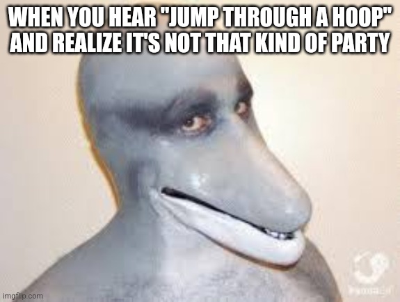Dolphin Guy | WHEN YOU HEAR "JUMP THROUGH A HOOP" AND REALIZE IT'S NOT THAT KIND OF PARTY | image tagged in dolphin guy | made w/ Imgflip meme maker
