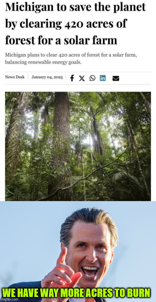 You gotta destroy in order to create - democrat 101 | WE HAVE WAY MORE ACRES TO BURN | image tagged in insane idiot gavin newsom,democrat,new green deal plans | made w/ Imgflip meme maker