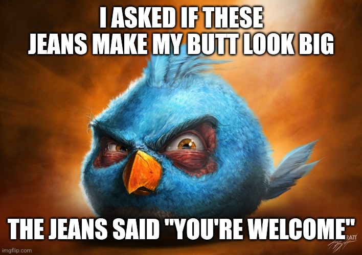 angry birds blue | I ASKED IF THESE JEANS MAKE MY BUTT LOOK BIG; THE JEANS SAID "YOU'RE WELCOME" | image tagged in angry birds blue | made w/ Imgflip meme maker