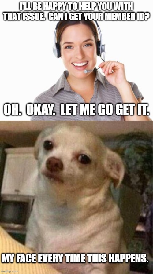 Please be prepared when you call!  PLEASE. | I'LL BE HAPPY TO HELP YOU WITH THAT ISSUE.  CAN I GET YOUR MEMBER ID? OH.  OKAY.  LET ME GO GET IT. MY FACE EVERY TIME THIS HAPPENS. | image tagged in call center agent,frustrated chihuahua | made w/ Imgflip meme maker