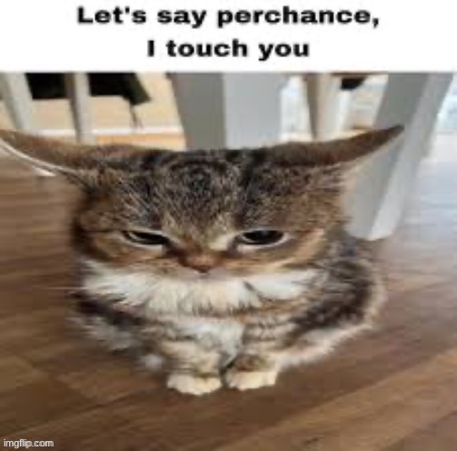 lets say perchance i touch you | image tagged in lets say perchance i touch you | made w/ Imgflip meme maker
