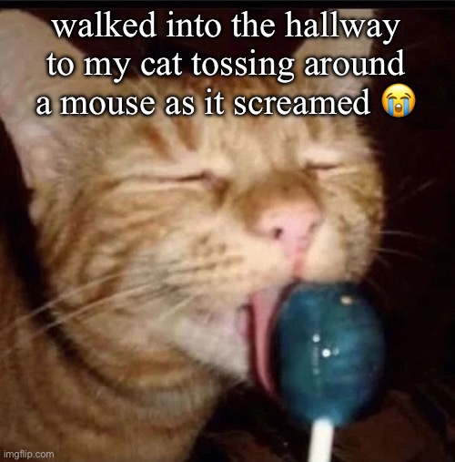 silly goober 2 | walked into the hallway to my cat tossing around a mouse as it screamed 😭 | image tagged in silly goober 2 | made w/ Imgflip meme maker