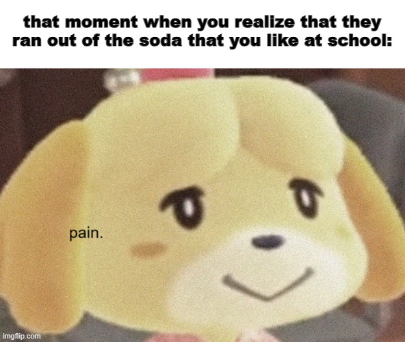 Isabelle pain | that moment when you realize that they ran out of the soda that you like at school: | image tagged in isabelle pain | made w/ Imgflip meme maker