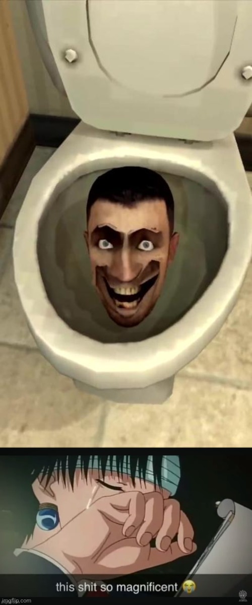 image tagged in skibidi toilet,this shit so magnificent | made w/ Imgflip meme maker