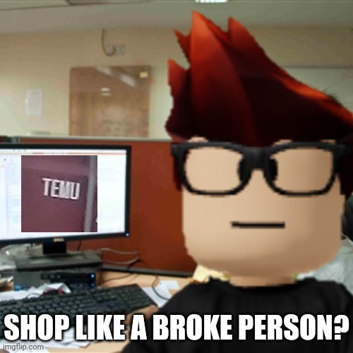 Found this at my school (made this scenario at home) | SHOP LIKE A BROKE PERSON? | image tagged in mc on the computer,temu,memes,shop like a broke person,mc | made w/ Imgflip meme maker