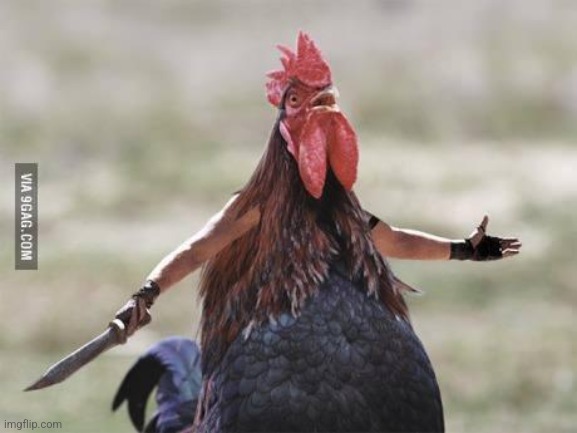 Come at me chicken | image tagged in come at me chicken | made w/ Imgflip meme maker