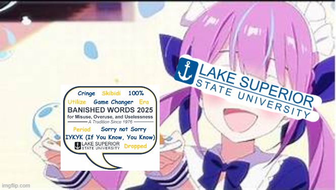 ‘Cringe,’ ‘era’ and other Gen Z slang banned in 2025, university declares: ‘Words matter!’ (New York Post, 13/1/2025) | image tagged in minato aqua holding a plate,memes,word usage,banned from speaking | made w/ Imgflip meme maker