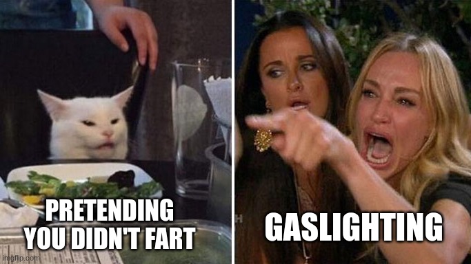 . | GASLIGHTING; PRETENDING YOU DIDN'T FART | image tagged in women yelling at cat reversed,fart jokes,farts | made w/ Imgflip meme maker