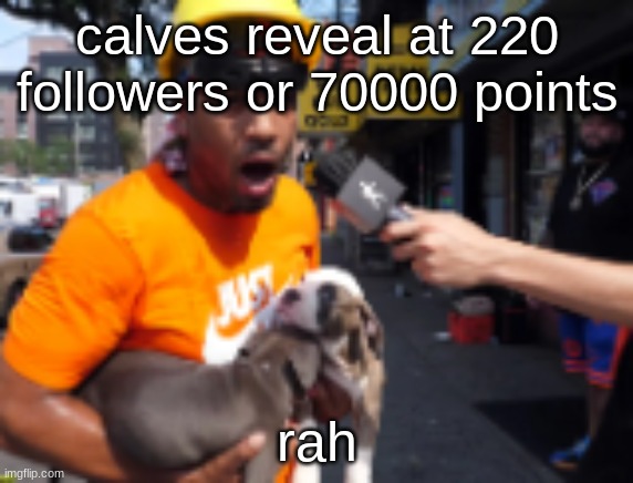 bingbong | calves reveal at 220 followers or 70000 points; rah | image tagged in bingbong | made w/ Imgflip meme maker