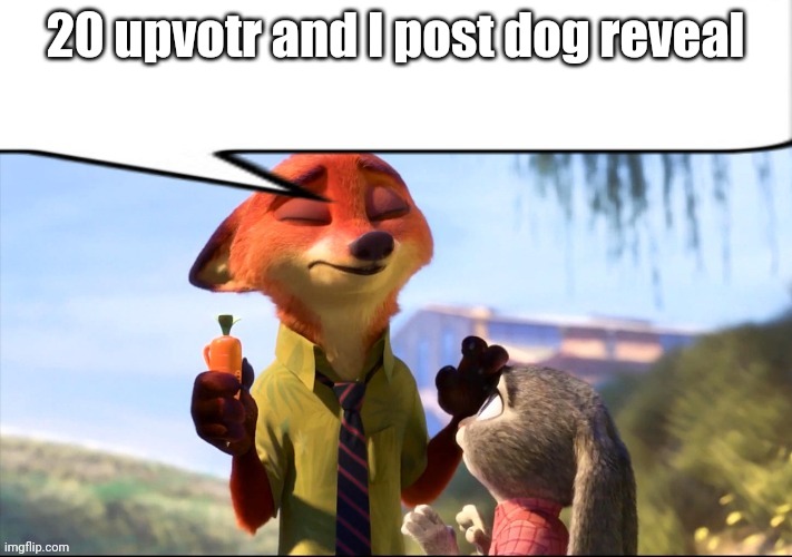 20 upvotr and I post dog reveal | 20 upvotr and I post dog reveal | image tagged in nick wilde speech bubble | made w/ Imgflip meme maker