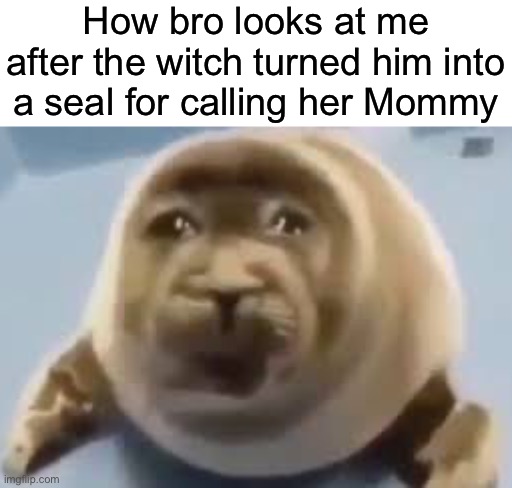 Crying seal | How bro looks at me after the witch turned him into a seal for calling her Mommy | image tagged in crying seal,msmg | made w/ Imgflip meme maker