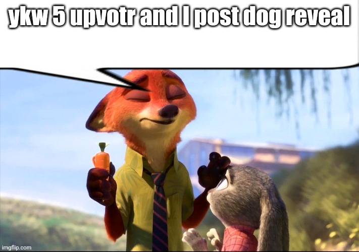 Not enough people upvotr the last one | ykw 5 upvotr and I post dog reveal | image tagged in nick wilde speech bubble | made w/ Imgflip meme maker