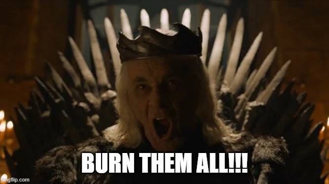 Burn them all! | BURN THEM ALL!!! | image tagged in burn them all | made w/ Imgflip meme maker