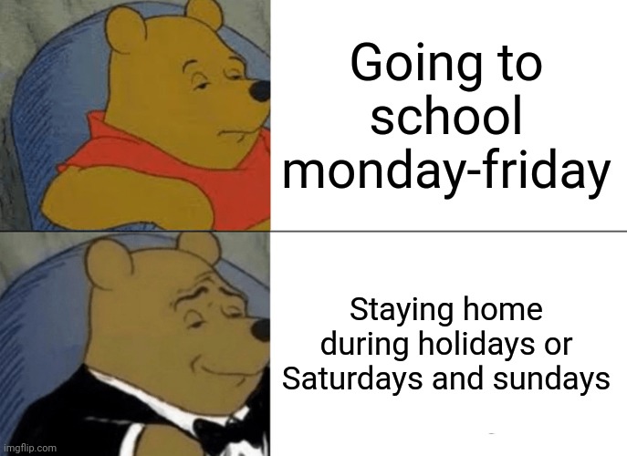 School be like ??? | Going to school monday-friday; Staying home during holidays or Saturdays and sundays | image tagged in memes,tuxedo winnie the pooh,school,school meme,boredom | made w/ Imgflip meme maker