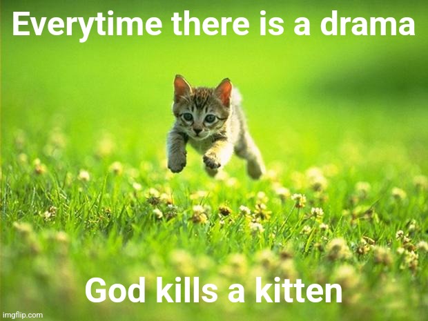 STOP KILLING KITTENS | Everytime there is a drama; God kills a kitten | image tagged in every time i smile god kills a kitten | made w/ Imgflip meme maker