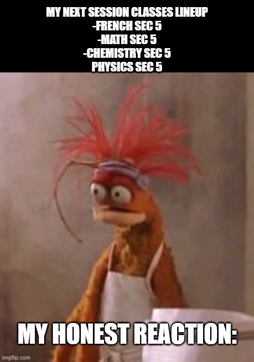 This lineup is a death wish | MY NEXT SESSION CLASSES LINEUP
-FRENCH SEC 5
-MATH SEC 5
-CHEMISTRY SEC 5
PHYSICS SEC 5; MY HONEST REACTION: | image tagged in pepe the king prawn | made w/ Imgflip meme maker