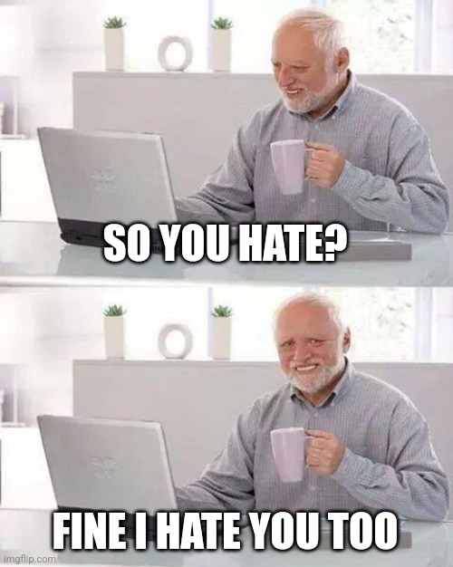 Just something | SO YOU HATE? FINE I HATE YOU TOO | image tagged in memes,hide the pain harold | made w/ Imgflip meme maker