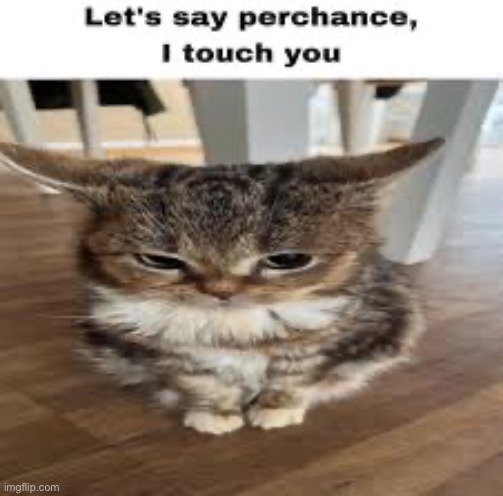 lets say perchance i touch you | image tagged in lets say perchance i touch you | made w/ Imgflip meme maker