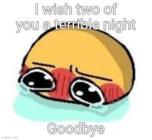 amb shamb bbbmba | I wish two of you a terrible night; Goodbye | image tagged in amb shamb bbbmba | made w/ Imgflip meme maker