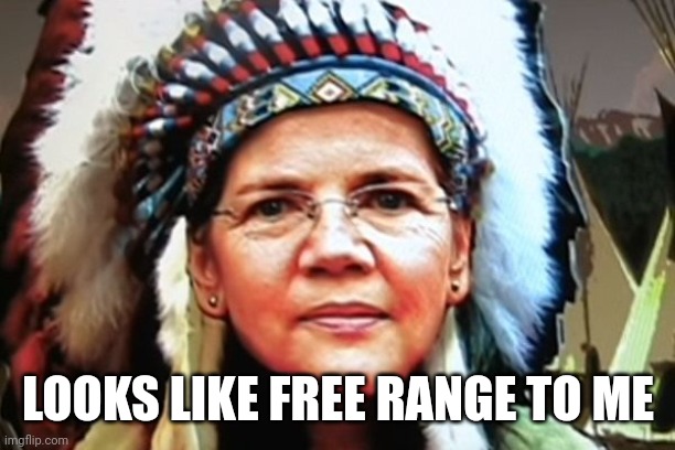 Elizabeth Warren Indian Chief | LOOKS LIKE FREE RANGE TO ME | image tagged in elizabeth warren indian chief | made w/ Imgflip meme maker