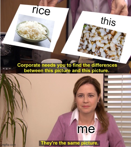 They're The Same Picture | rice; this; me | image tagged in memes,they're the same picture | made w/ Imgflip meme maker