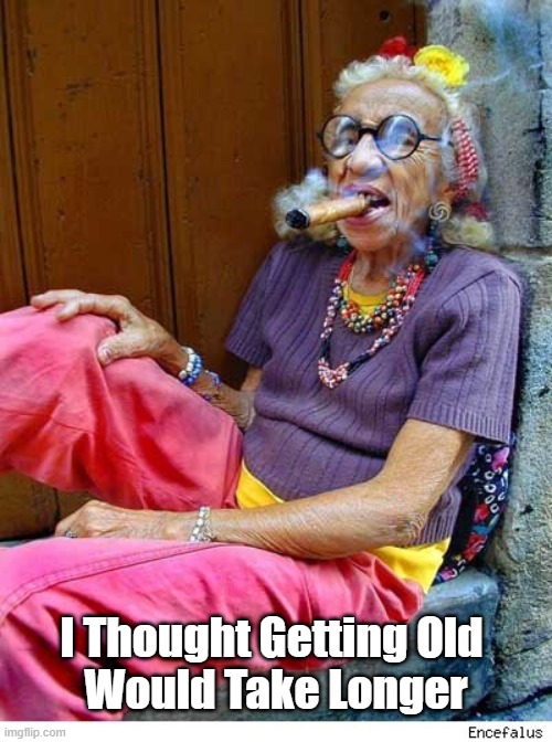 I Thought Getting Old Would Take Longer | I Thought Getting Old 
Would Take Longer | image tagged in getting old,growing old,old people | made w/ Imgflip meme maker