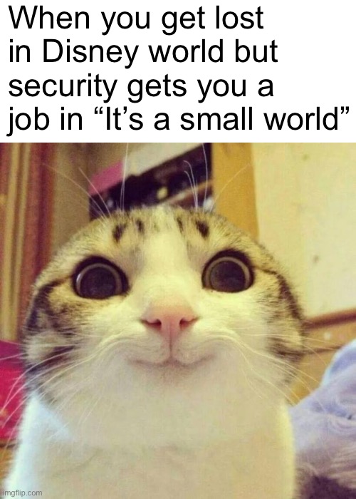 Smiling Cat | When you get lost in Disney world but security gets you a job in “It’s a small world” | image tagged in smiling cat,family guy,disney,disneyland,disney world,kidnapping | made w/ Imgflip meme maker