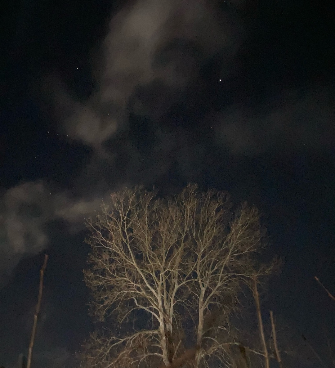 Night. Blank Meme Template