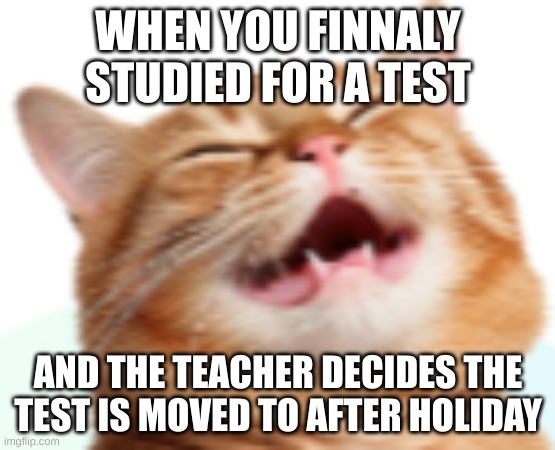 funny meme | WHEN YOU FINNALY STUDIED FOR A TEST; AND THE TEACHER DECIDES THE TEST IS MOVED TO AFTER HOLIDAY | image tagged in school | made w/ Imgflip meme maker