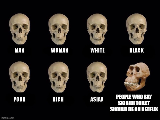 empty skulls of truth | PEOPLE WHO SAY SKIBIDI TOILET SHOULD BE ON NETFLIX | image tagged in empty skulls of truth | made w/ Imgflip meme maker