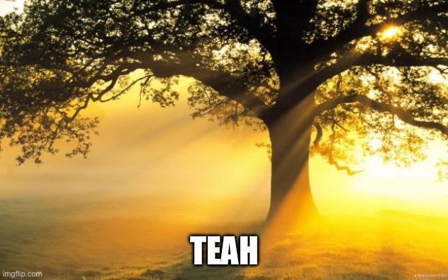 nature | TEAH | image tagged in nature | made w/ Imgflip meme maker