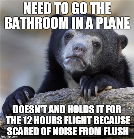 Confession Bear Meme | NEED TO GO THE BATHROOM IN A PLANE  DOESN'T AND HOLDS IT FOR THE 12 HOURS FLIGHT BECAUSE SCARED OF NOISE FROM FLUSH | image tagged in memes,confession bear | made w/ Imgflip meme maker