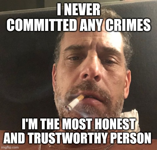 Honest and trustworthy | I NEVER COMMITTED ANY CRIMES; I'M THE MOST HONEST AND TRUSTWORTHY PERSON | image tagged in hunter biden,funny memes | made w/ Imgflip meme maker