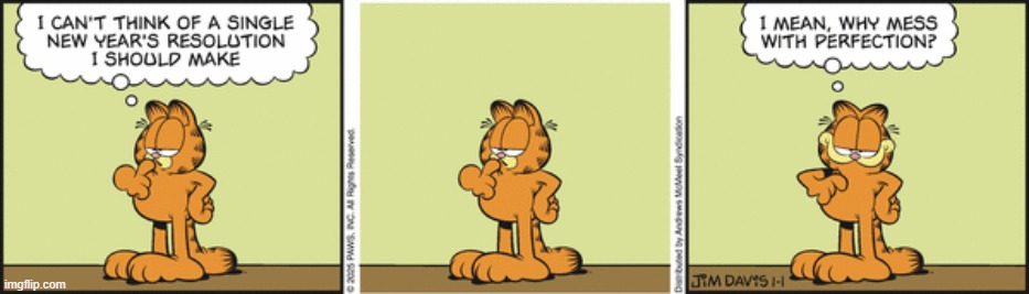 Garfield | image tagged in comics,new year's,new year's resolutions,perfection | made w/ Imgflip meme maker