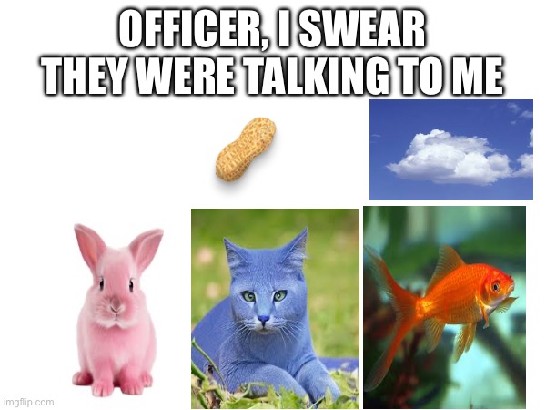 Officer, i'm not lying | OFFICER, I SWEAR THEY WERE TALKING TO ME | image tagged in the amazing world of gumball | made w/ Imgflip meme maker