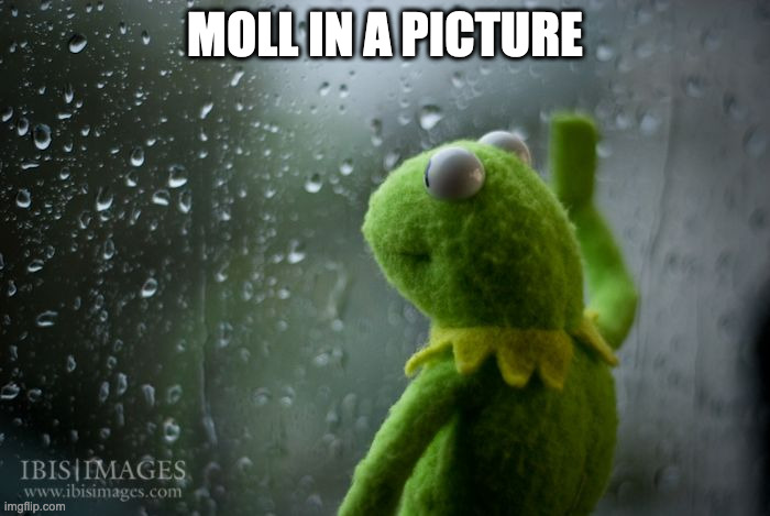 "Moll" in a Picture | MOLL IN A PICTURE | image tagged in kermit window | made w/ Imgflip meme maker