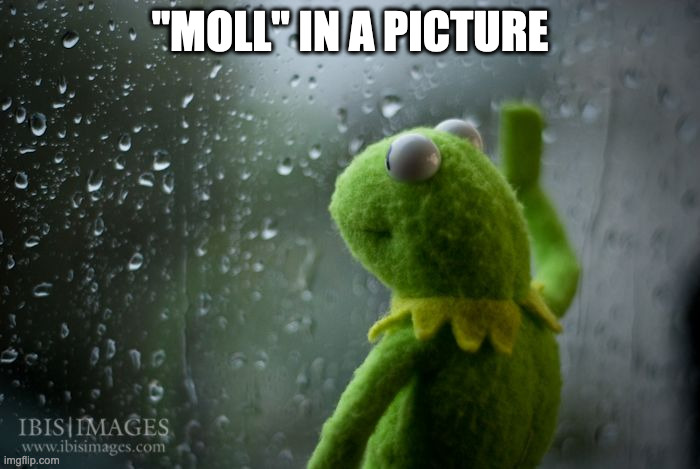 "Moll" in a Picture | "MOLL" IN A PICTURE | image tagged in kermit window | made w/ Imgflip meme maker